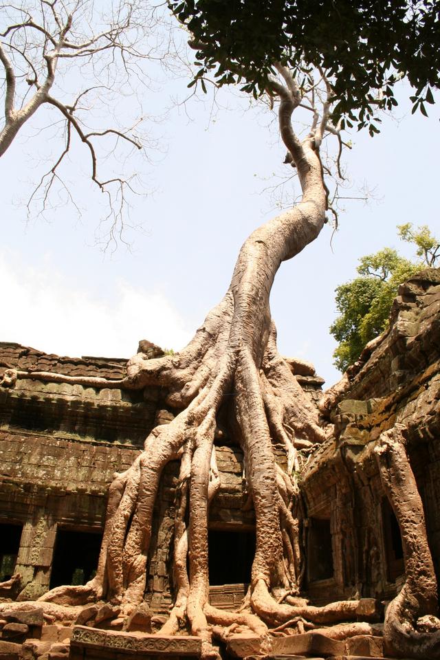 Siem Reap, kompleks Angkor, Kambodża