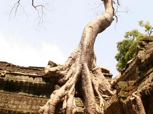 Siem Reap, kompleks Angkor, Kambodża