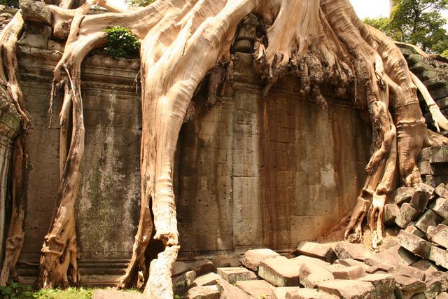 Siem Reap, kompleks Angkor, Kambodża