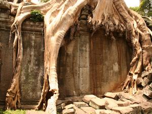 Siem Reap, kompleks Angkor, Kambodża