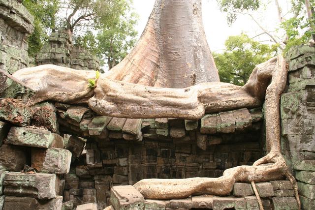 Siem Reap, kompleks Angkor, Kambodża