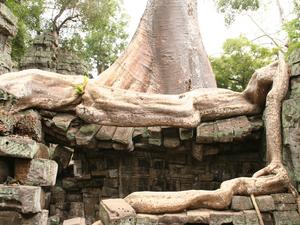 Siem Reap, kompleks Angkor, Kambodża