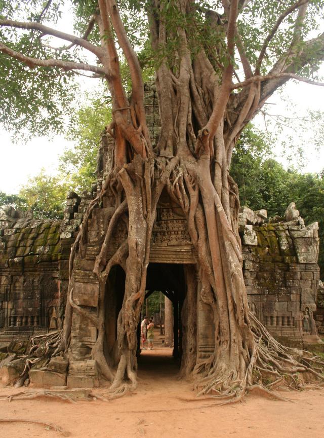 Siem Reap, kompleks Angkor, Kambodża