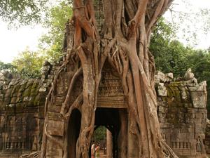 Siem Reap, kompleks Angkor, Kambodża