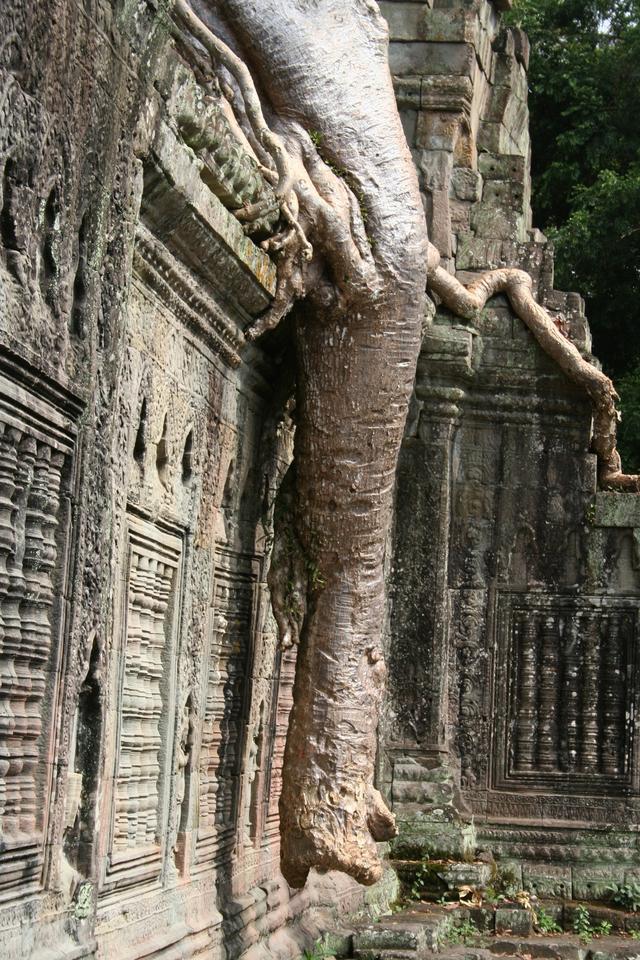 Siem Reap, kompleks Angkor, Kambodża