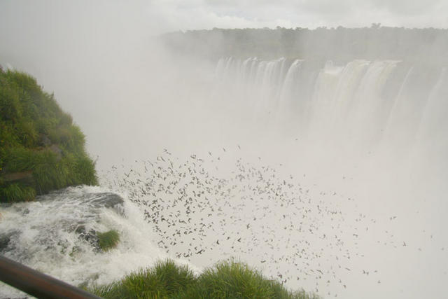 Cataractas de Iguazu