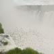 Cataractas de Iguazu