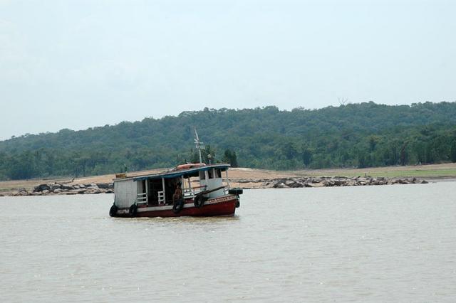 Amazonka (4)