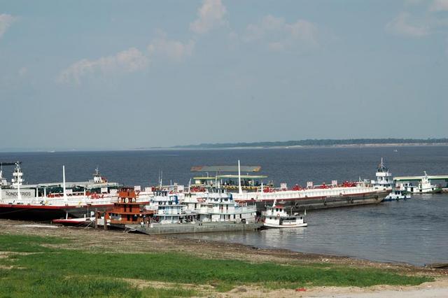 Amazonka (261)