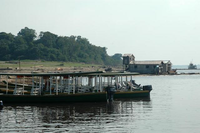 Amazonka (268)
