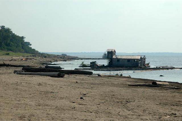 Amazonka (270)