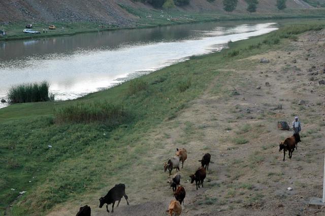 Diyarbakir 7 dzien (11)