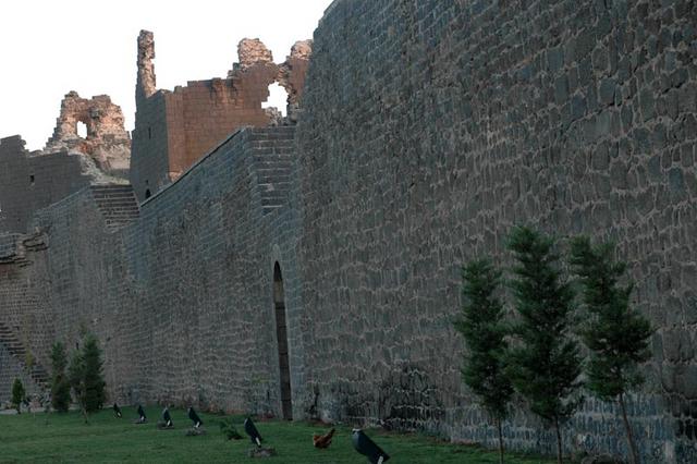 Diyarbakir (29)