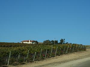 Santa Barbara Wine Country