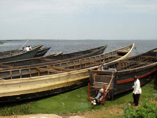 Jezioro Wiktorii
