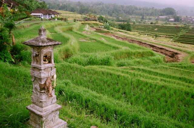 Bali