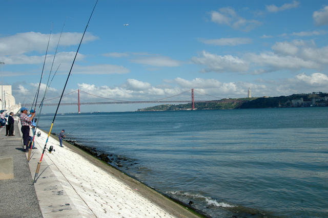 Dsc 7175
