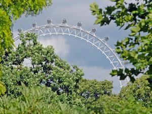 London Eye