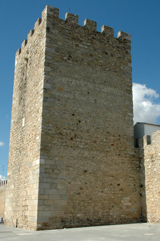 Dsc 7979