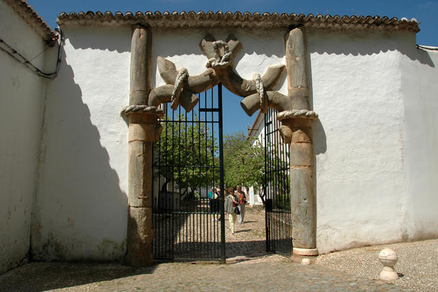 Dsc 8020