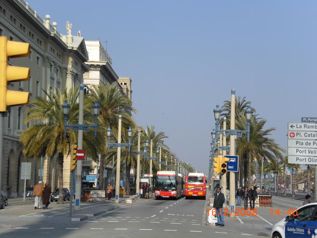 Palmy w barcelonie ulica prowadzaca do molo.