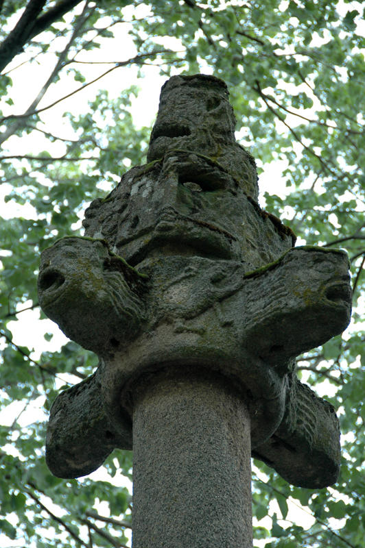 Dsc 8396