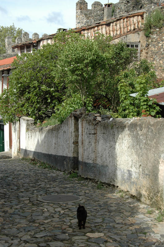 Dsc 8400