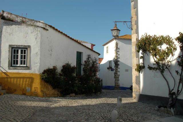 Dsc 9479