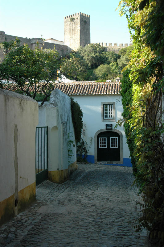 Dsc 9496