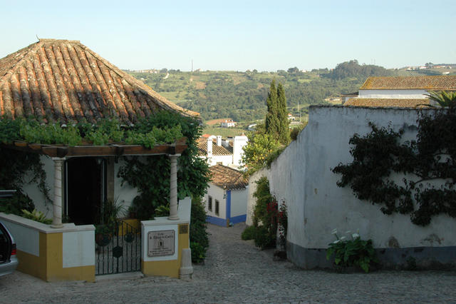 Dsc 9501
