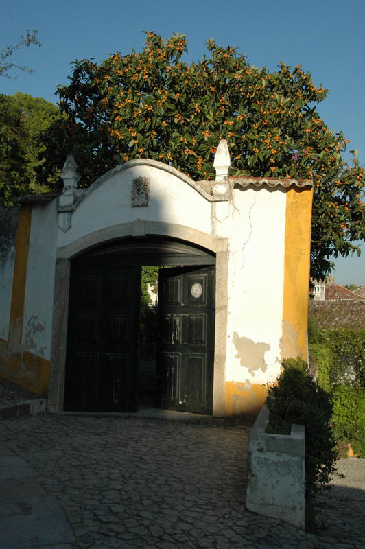 Dsc 9516