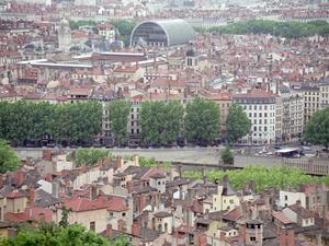 Lyon805