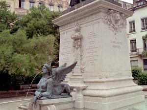 Lyon205