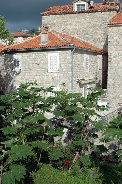 Budva  31 