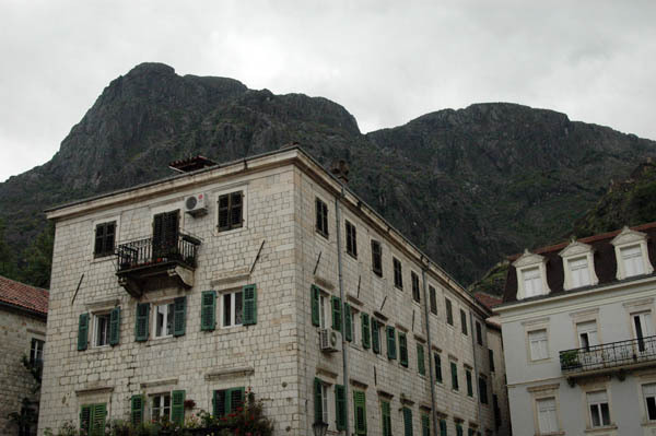 Kotor  50 