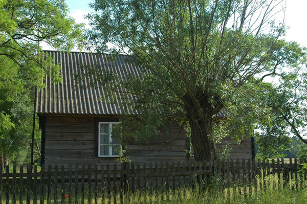 Poniatowo  10 