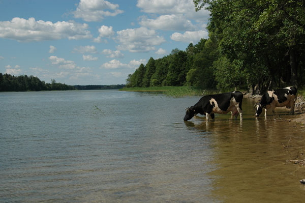 Dsc 2361 Spływ rzeczka Ełk
