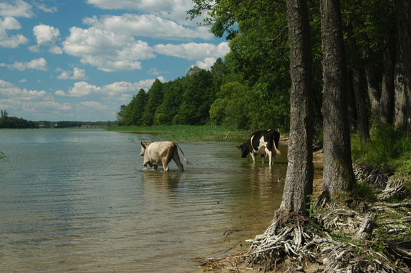 Dsc 2364 Spływ rzeczka Ełk