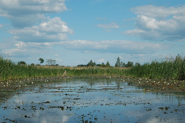 Dsc 2403 Spływ rzeczka Ełk