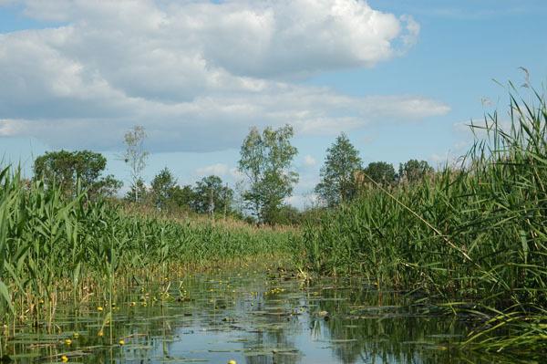 Dsc 2406 Spływ rzeczka Ełk