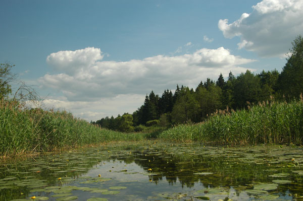 Dsc 2410 Spływ rzeczka Ełk