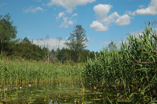 Dsc 2413 Spływ rzeczka Ełk