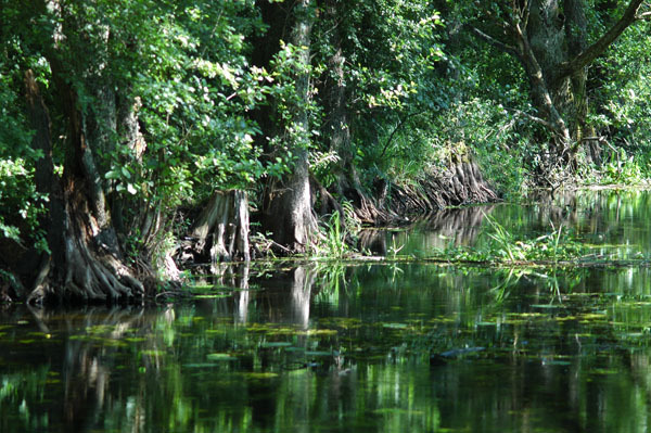 Dsc 2432 Spływ rzeczka Ełk
