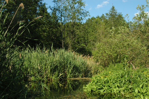 Dsc 2490 Spływ rzeczka Ełk
