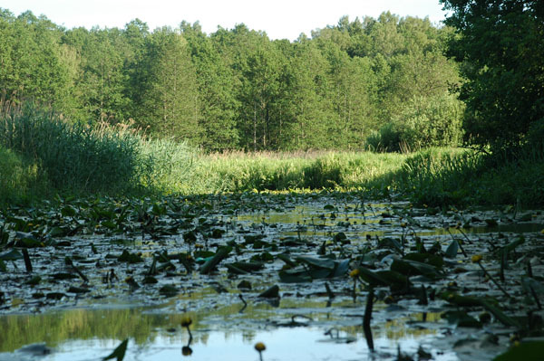 Dsc 2496 Spływ rzeczka Ełk