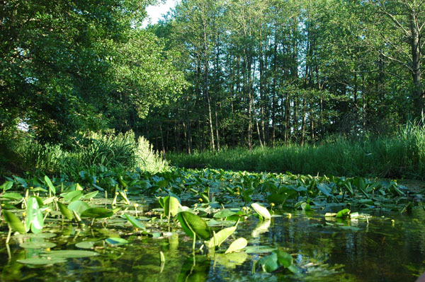 Dsc 2513 Spływ rzeczka Ełk