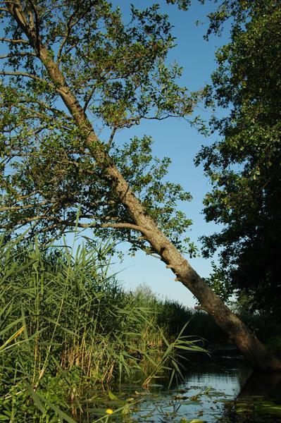 Dsc 2517 Spływ rzeczka Ełk