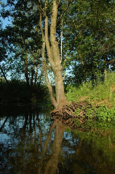 Dsc 2521 Spływ rzeczka Ełk