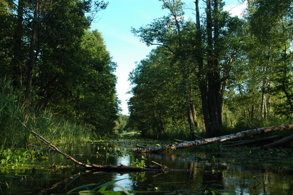 Dsc 2527 Spływ rzeczka Ełk