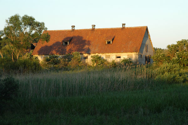 Dsc 2554